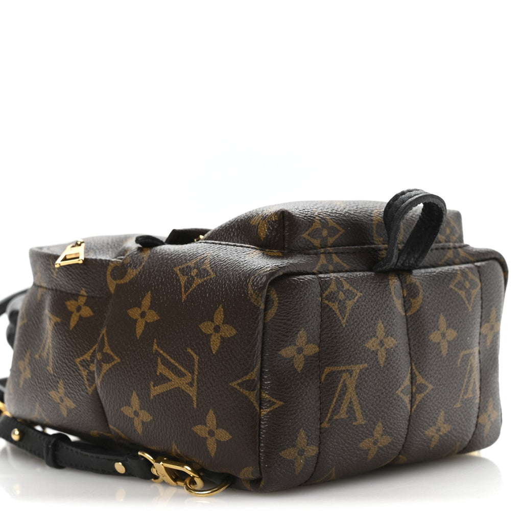 Louis Vuitton Monogram Palm Springs Backpack Mini
