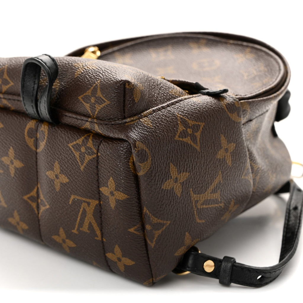 Louis Vuitton Monogram Palm Springs Backpack Mini
