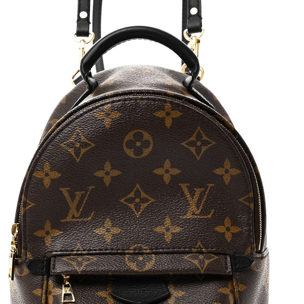 Louis Vuitton Monogram Palm Springs Backpack Mini