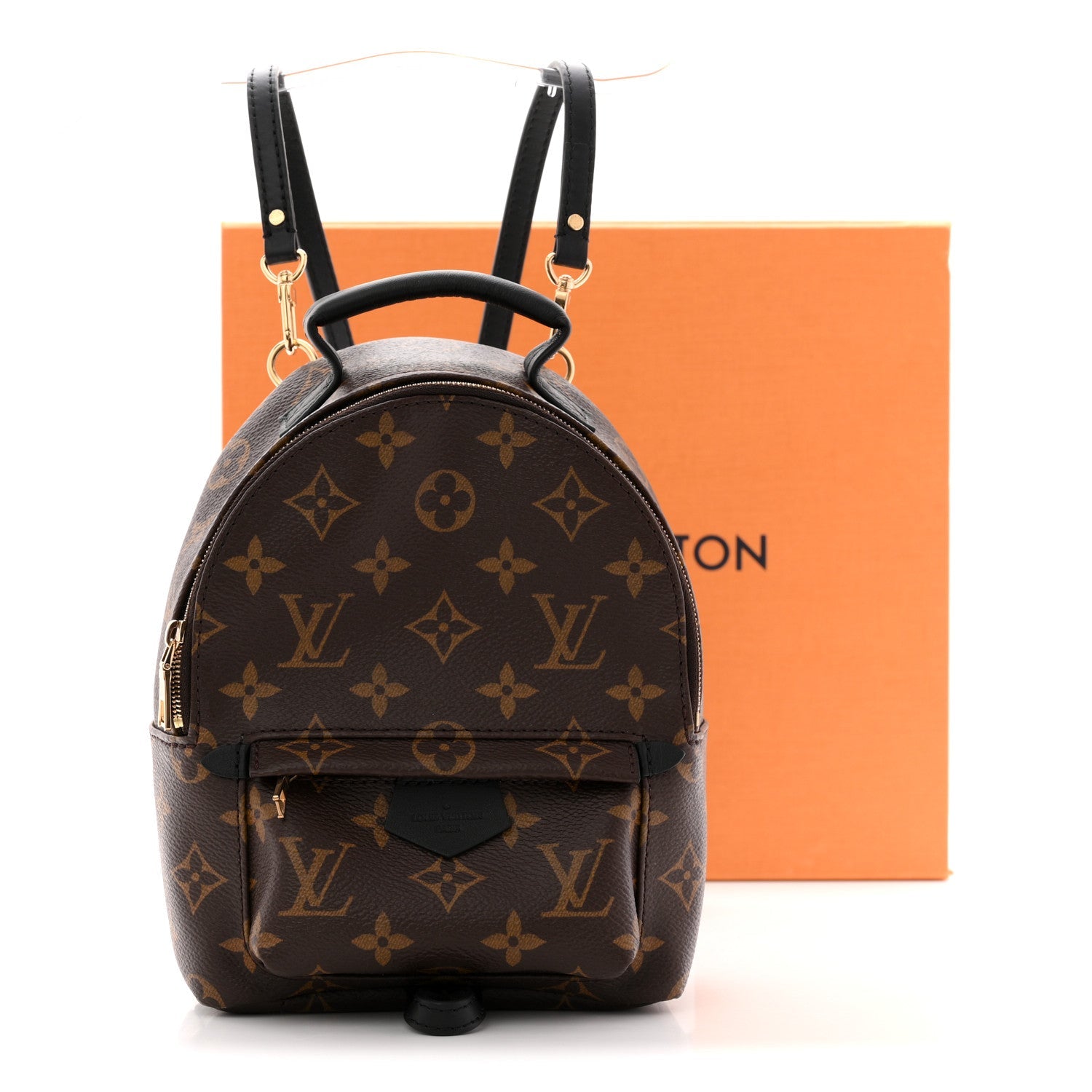 Louis Vuitton Monogram Palm Springs Backpack Mini