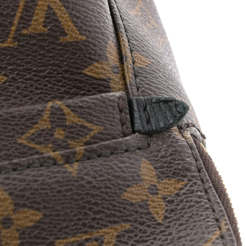 Louis Vuitton Monogram Palm Springs Backpack Mini