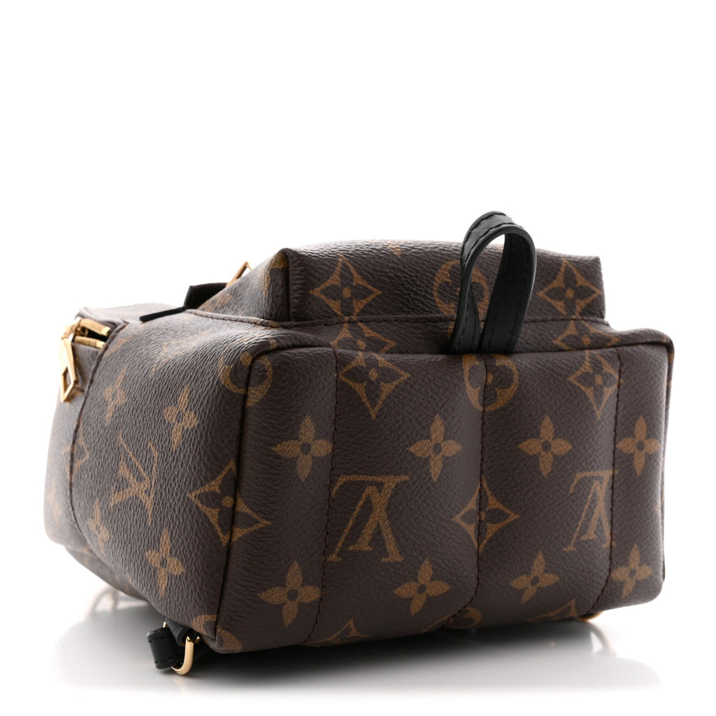 Louis Vuitton Monogram Palm Springs Backpack Mini