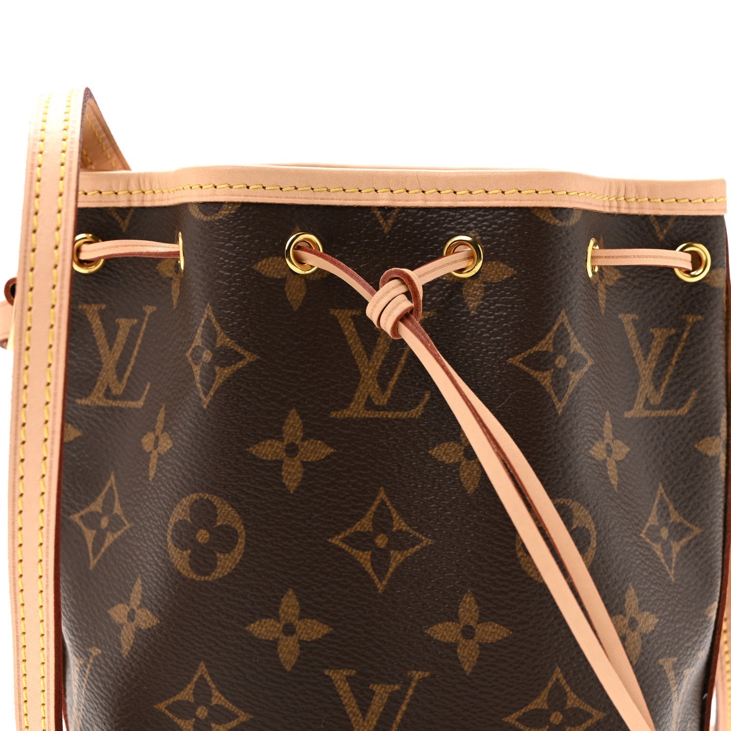 Louis Vuitton Monogram Nano Noe