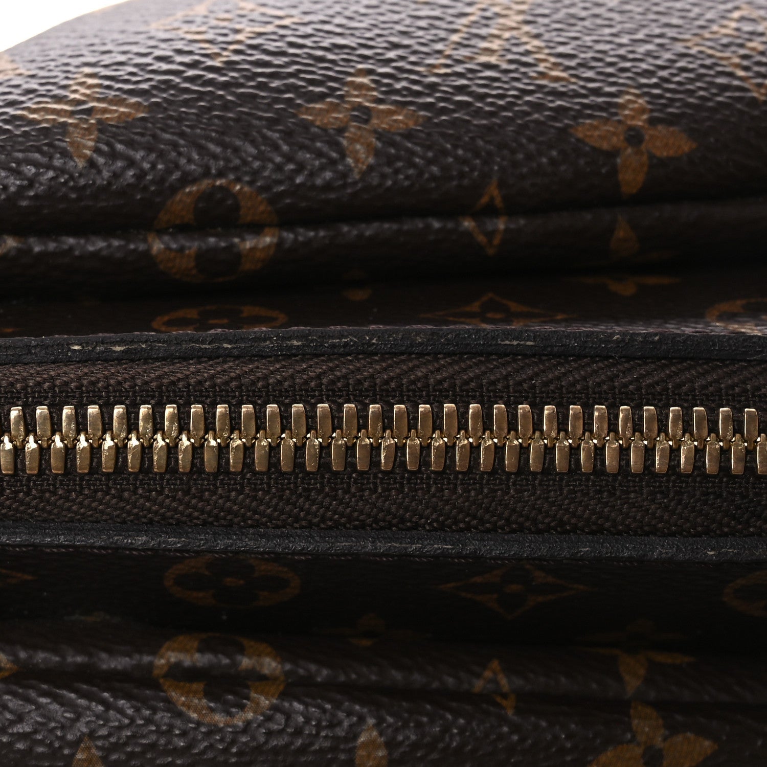 Louis Vuitton X NIGO Monogram Duck Bag