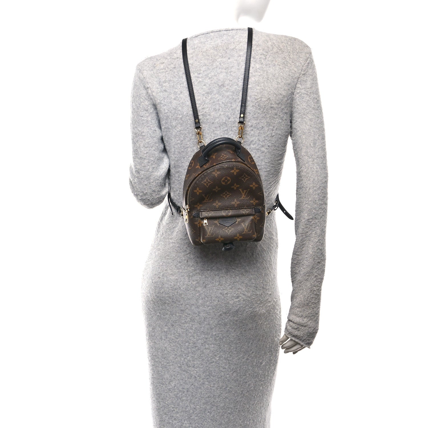 Louis Vuitton Monogram Palm Springs Backpack Mini