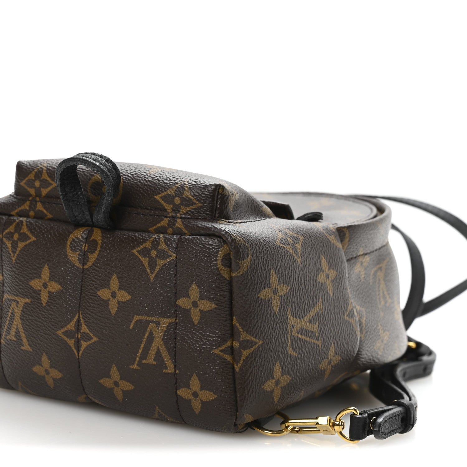 Louis Vuitton Monogram Palm Springs Backpack Mini