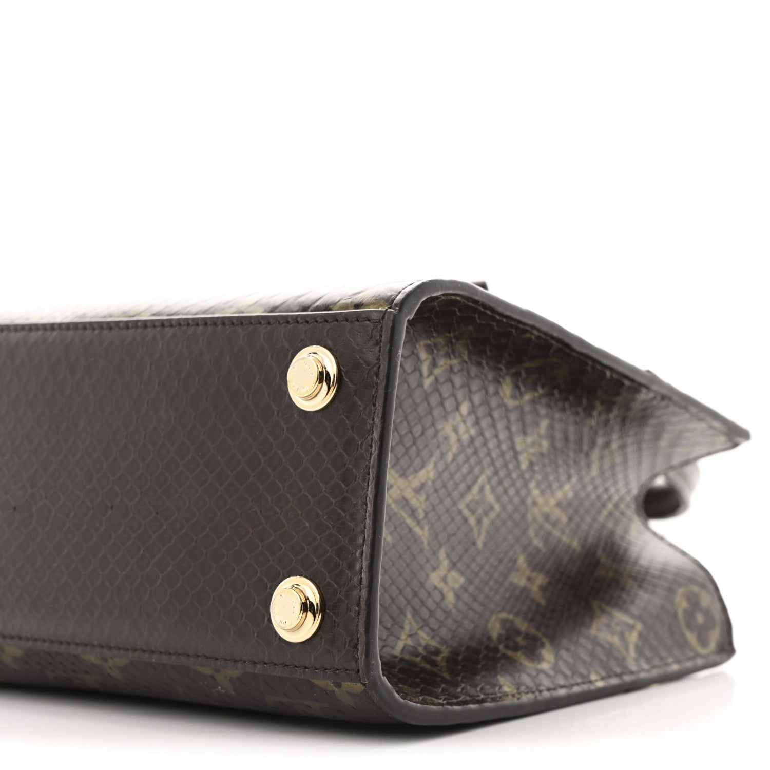 Louis Vuitton Snakeskin Monogram City Steamer Mini Brown