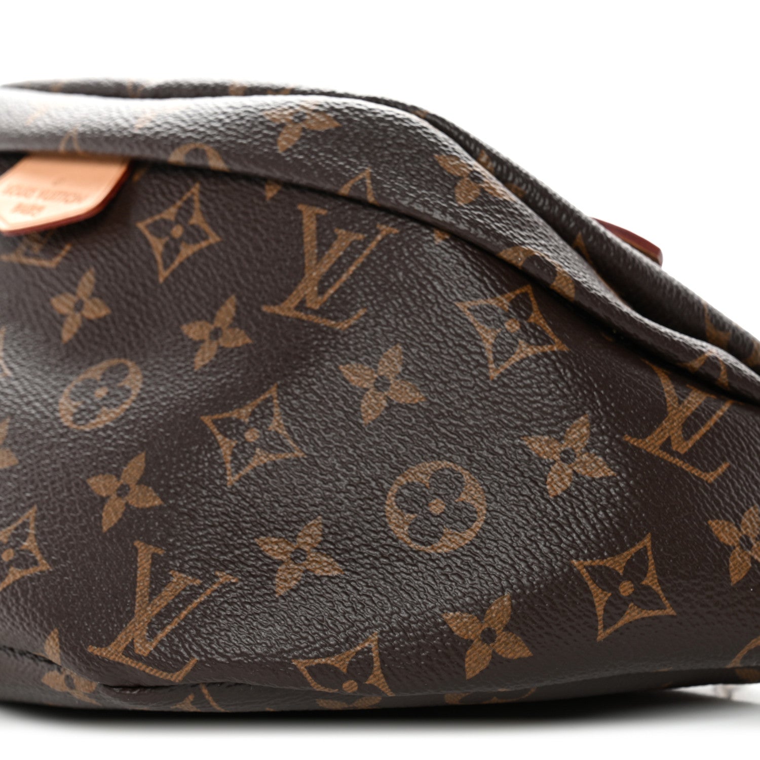 Louis Vuitton Monogram Bumbag