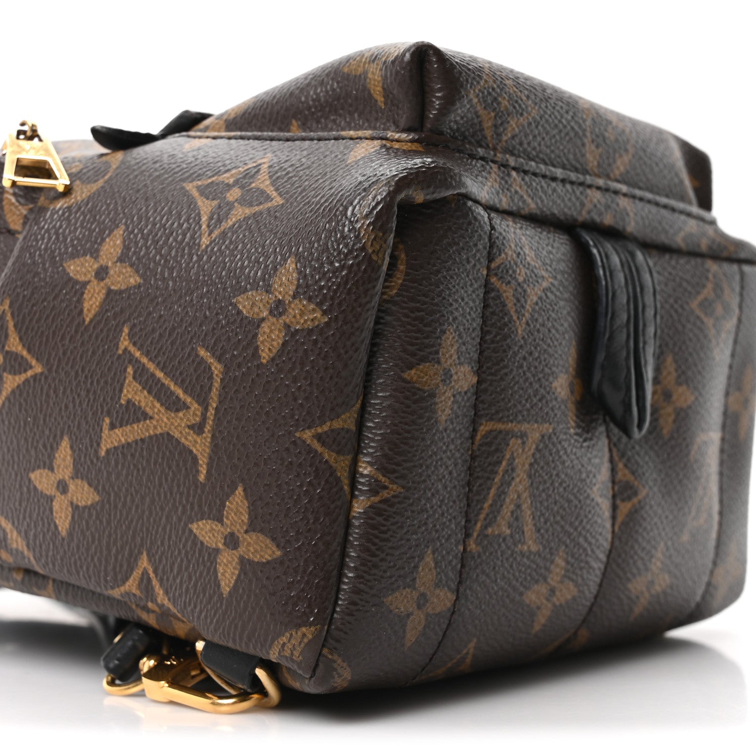 Louis Vuitton Monogram Palm Springs Backpack Mini