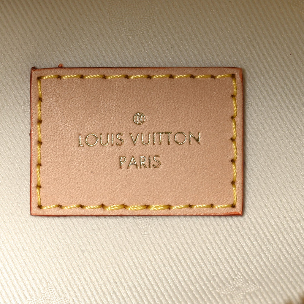 Louis Vuitton Monogram High Rise Bumbag
