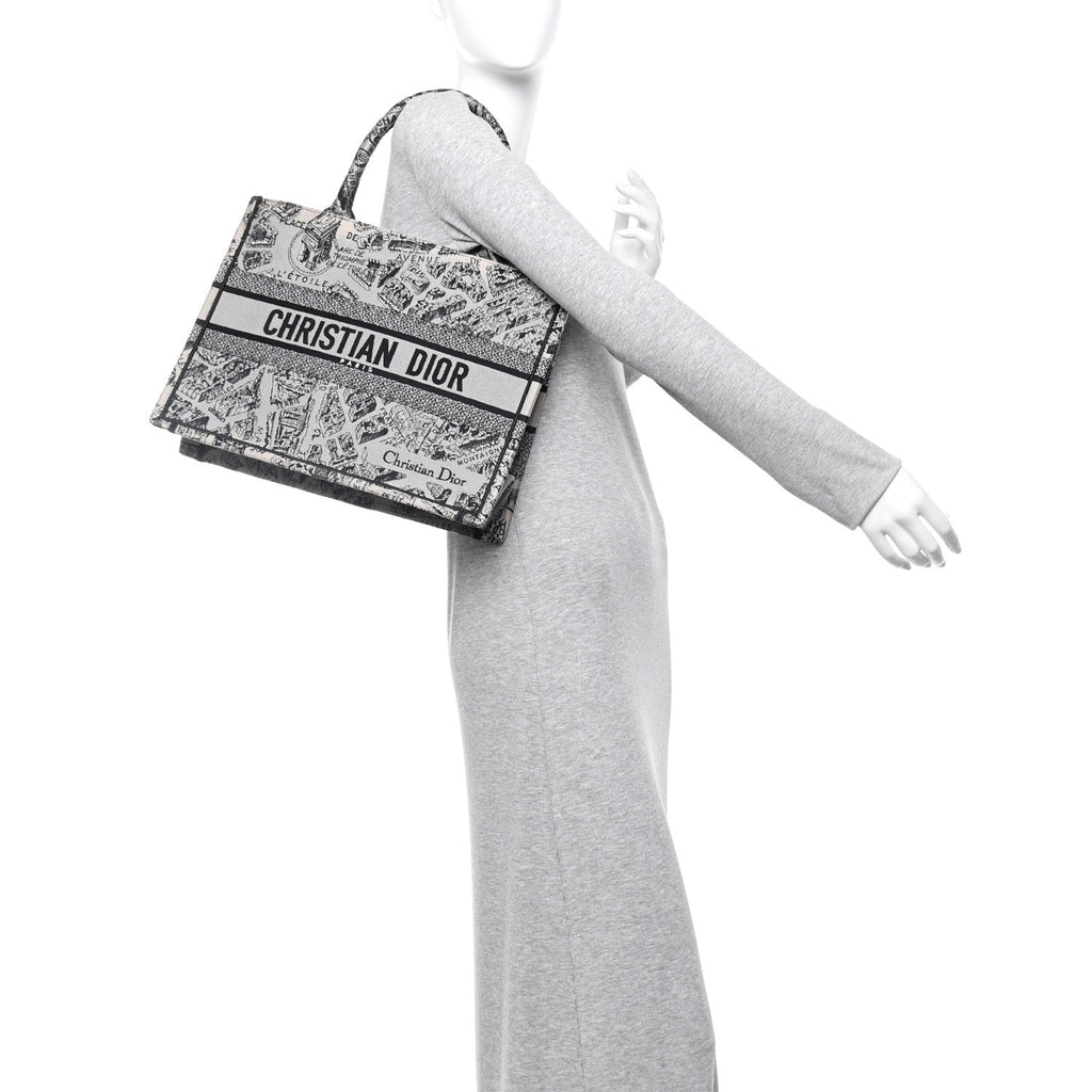 Christian Dior Canvas Embroidered Medium Plan De Paris Book Tote Grey Black