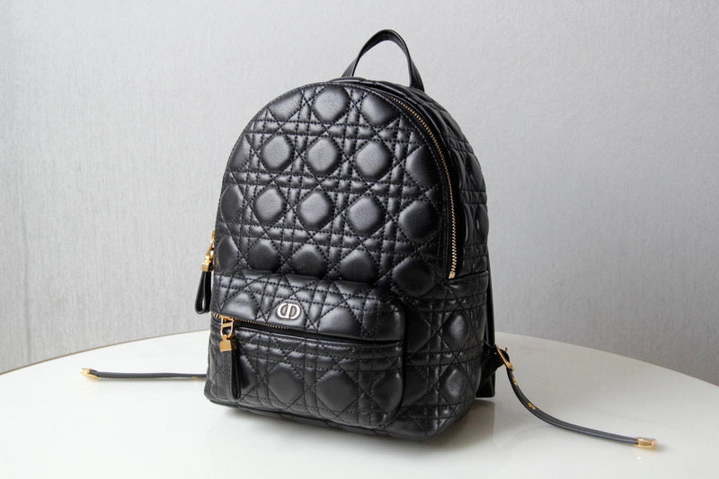 Dior Bags - 1761