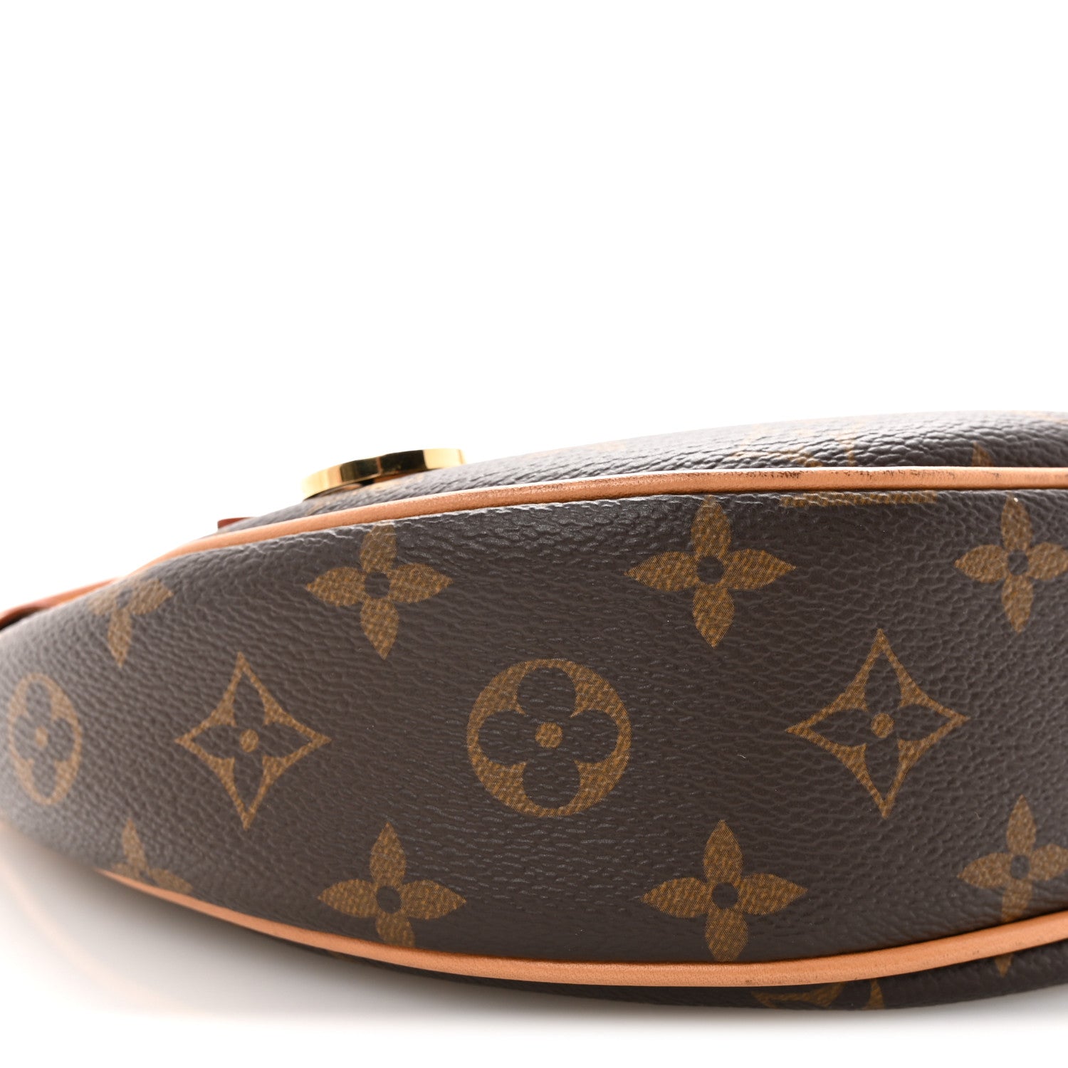 Louis Vuitton Monogram Loop