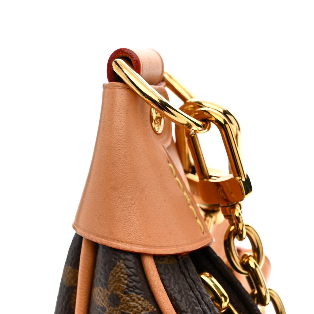 Louis Vuitton Monogram Loop