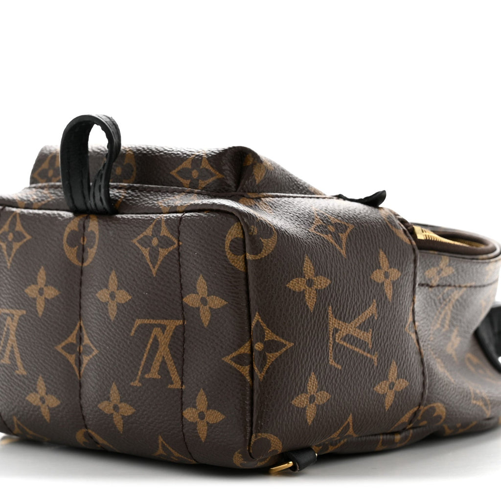 Louis Vuitton Monogram Palm Springs Backpack Mini