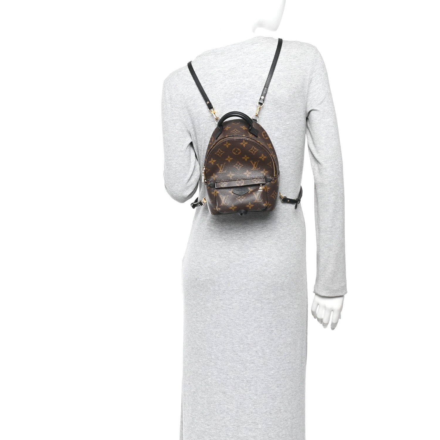 Louis Vuitton Monogram Palm Springs Backpack Mini