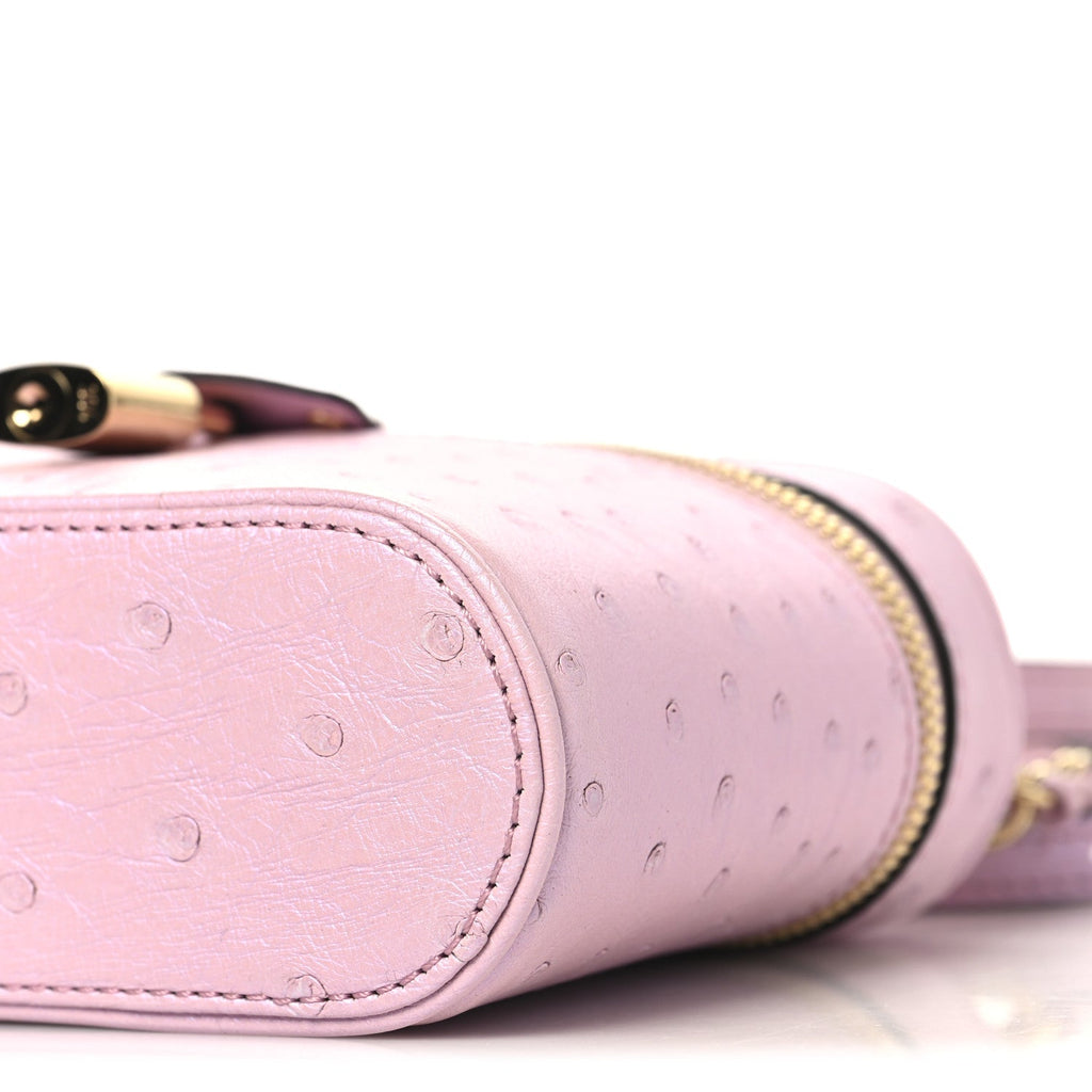 Louis Vuitton Ostrich Vanity Chain Pouch Pink
