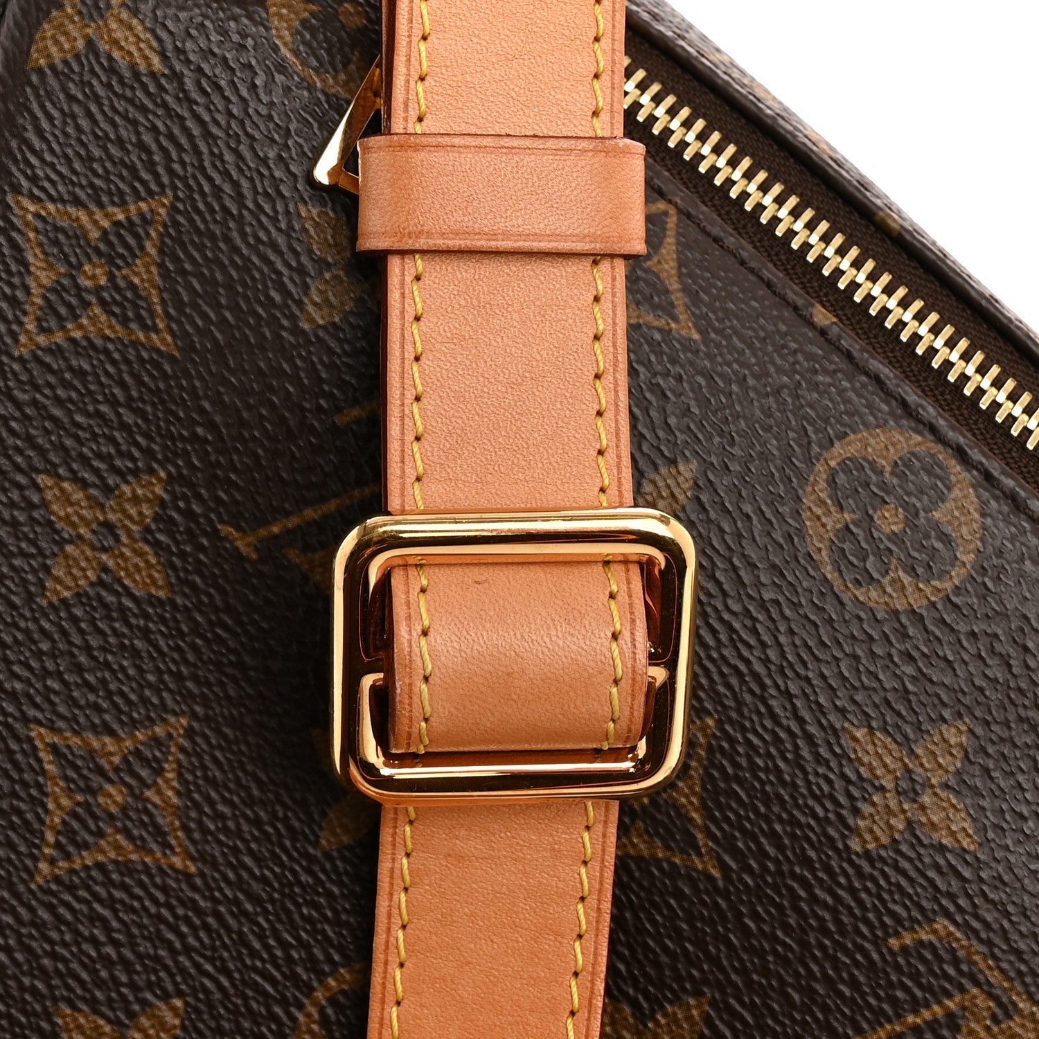 Louis Vuitton Monogram Bumbag