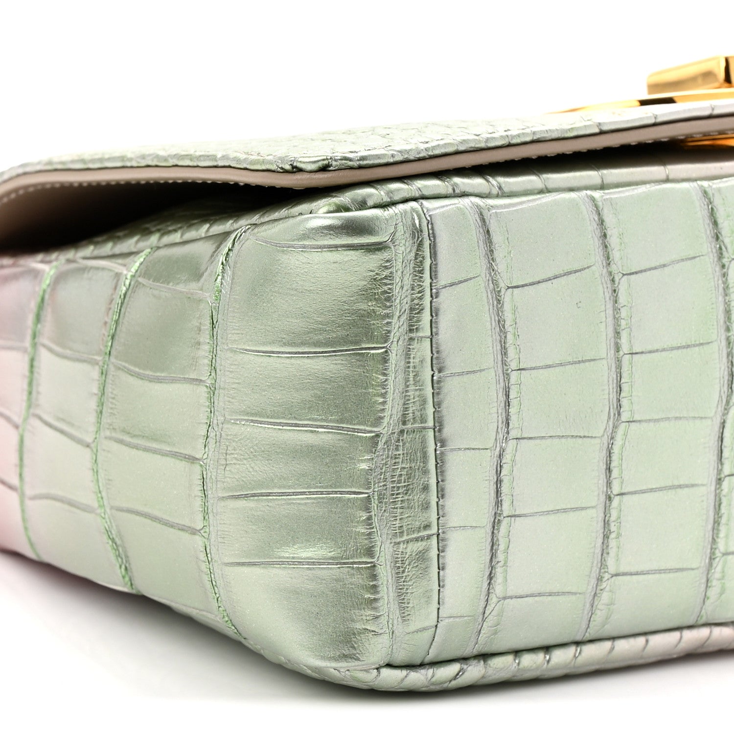 Christian Dior Metallic Alligator Small Caro Bag Multicolor