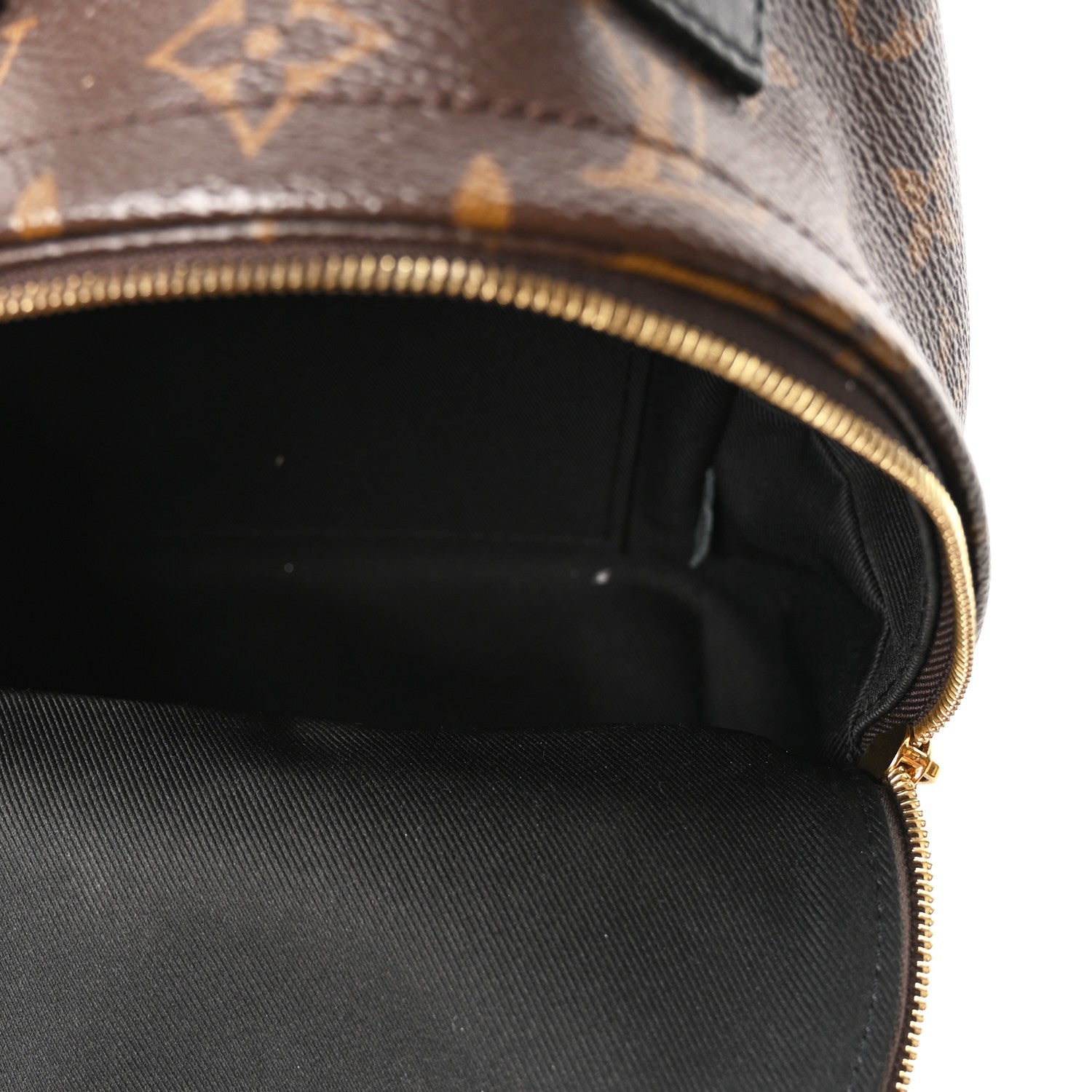 Louis Vuitton Monogram Palm Springs Backpack Mini