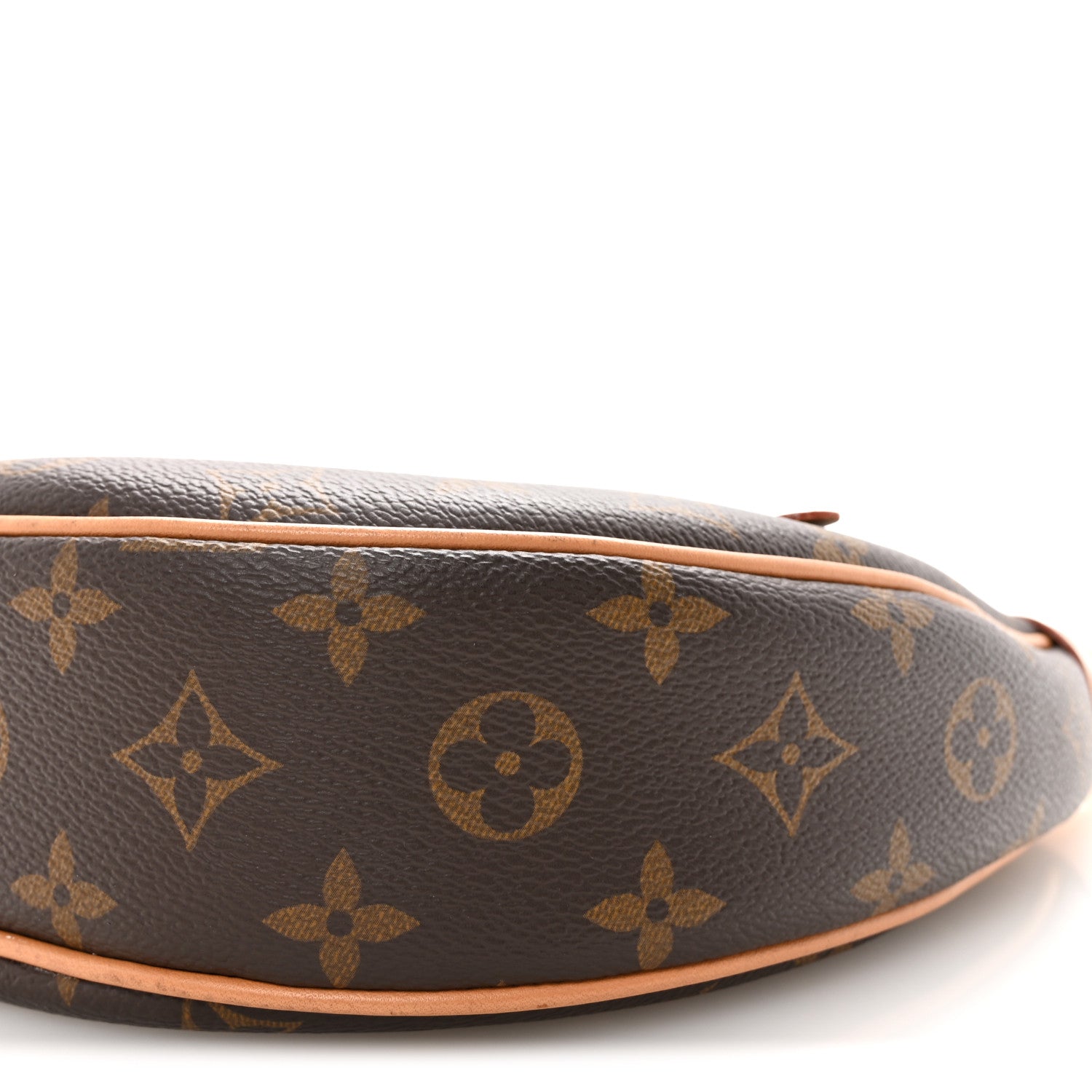 Louis Vuitton Monogram Loop