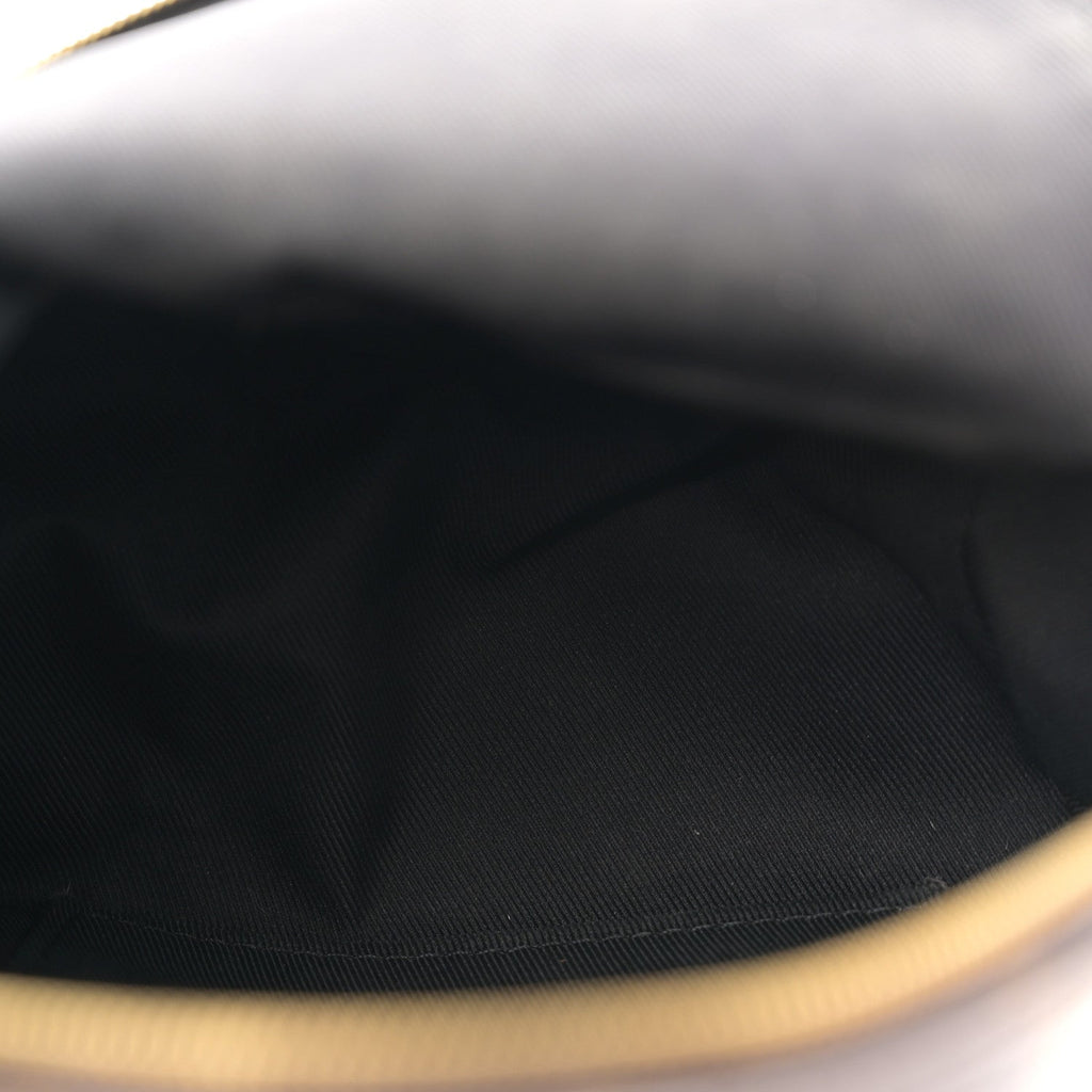 Louis Vuitton Monogram Palm Springs Backpack Mini