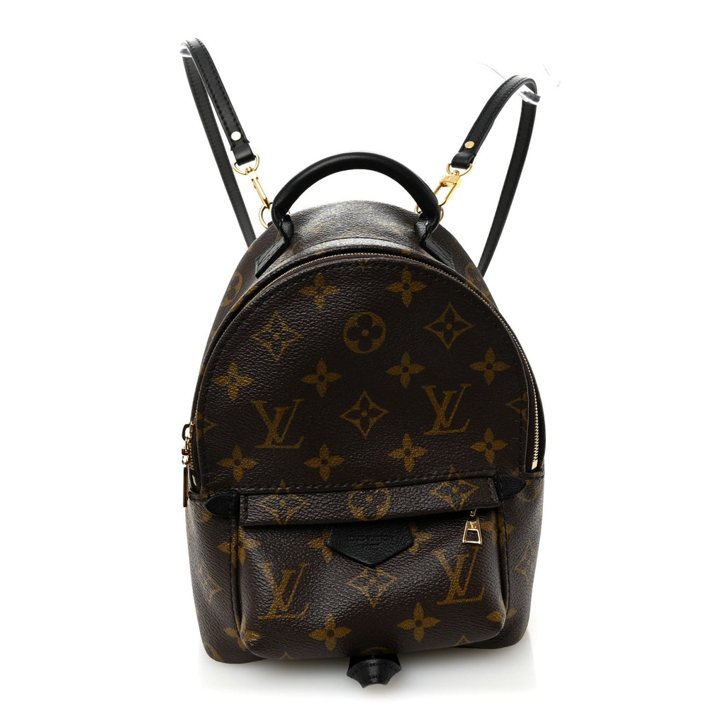Louis Vuitton Monogram Palm Springs Backpack Mini