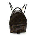 Louis Vuitton Monogram Palm Springs Backpack Mini