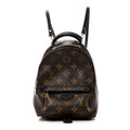 Louis Vuitton Monogram Palm Springs Backpack Mini