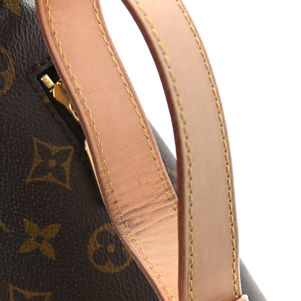 Louis Vuitton Monogram Bumbag