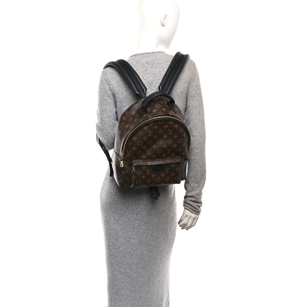 Louis Vuitton Monogram Palm Springs Backpack MM