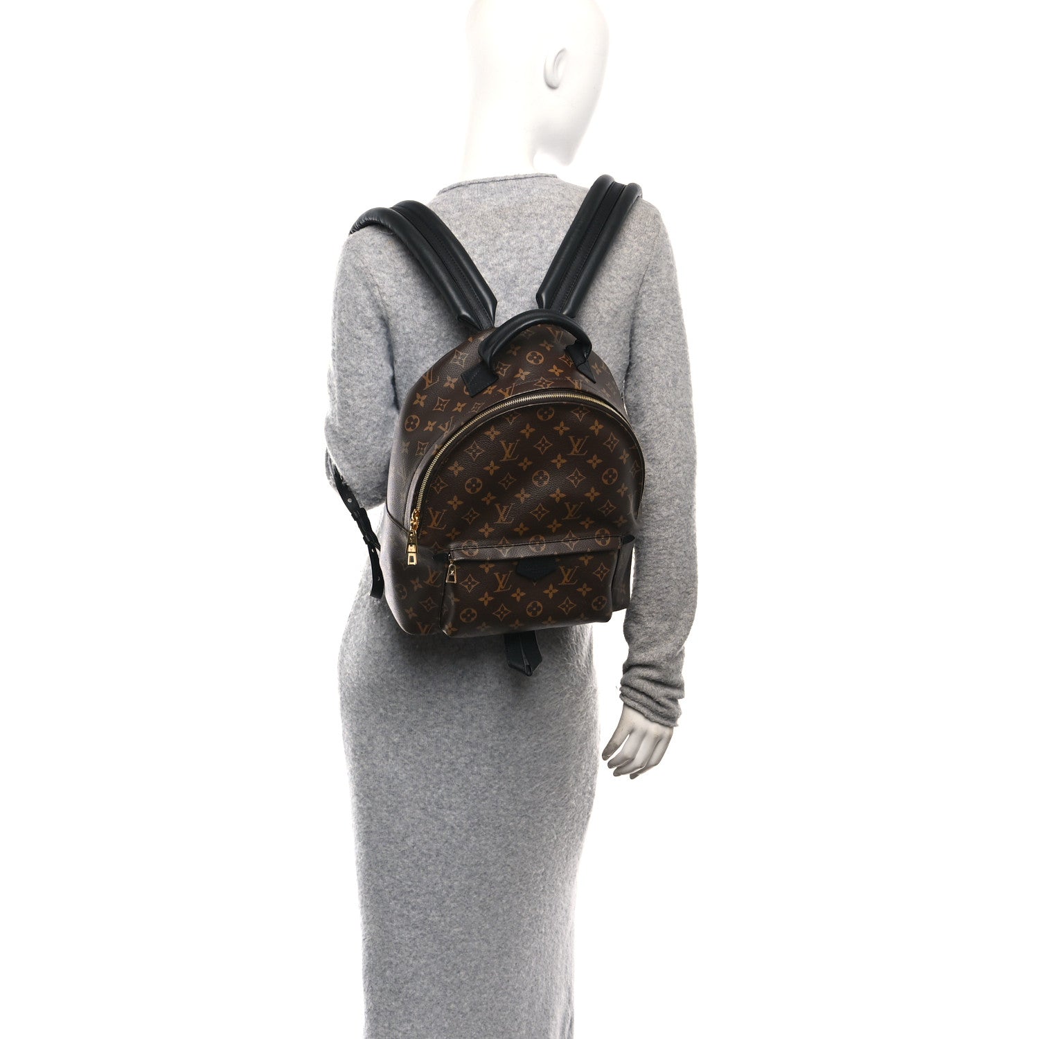 Louis Vuitton Monogram Palm Springs Backpack MM
