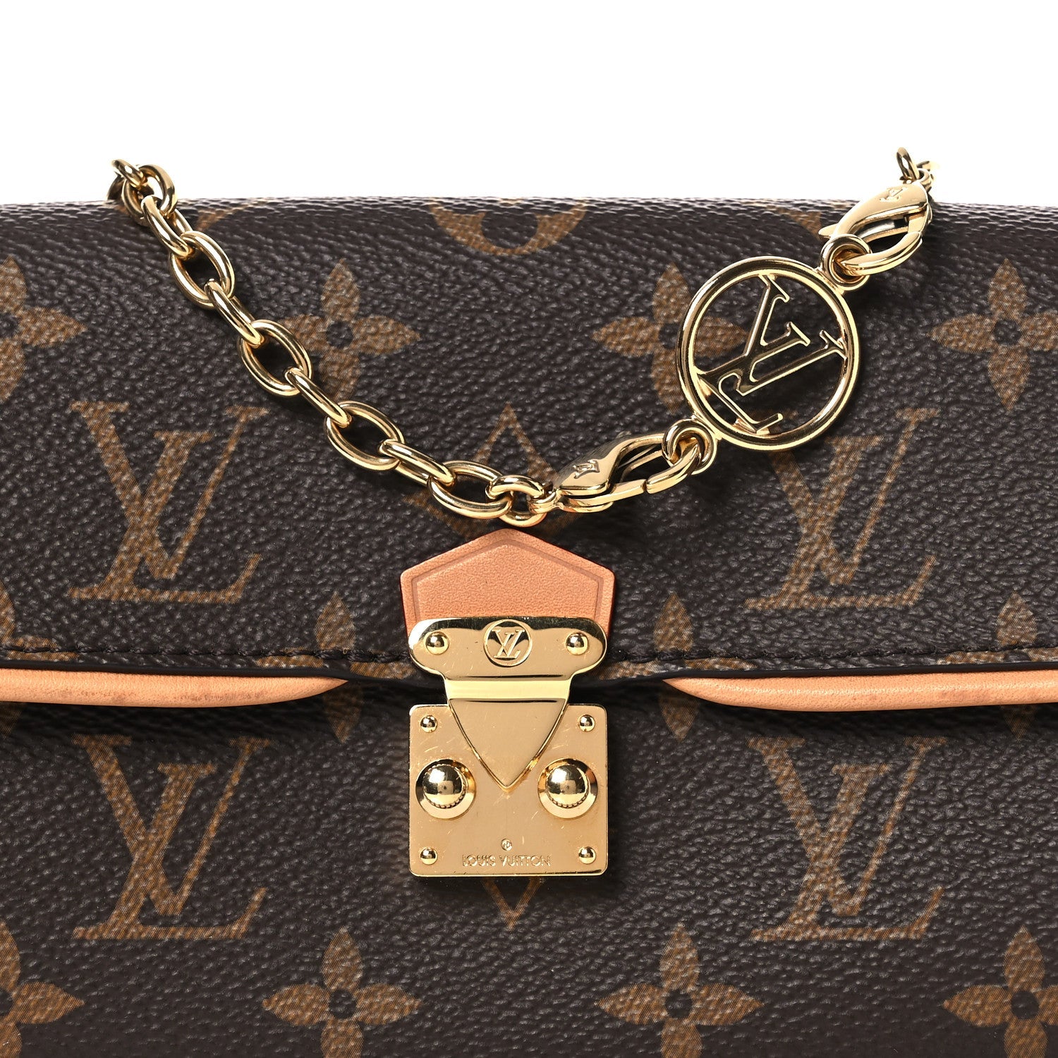 Louis Vuitton Monogram Pochette Camille