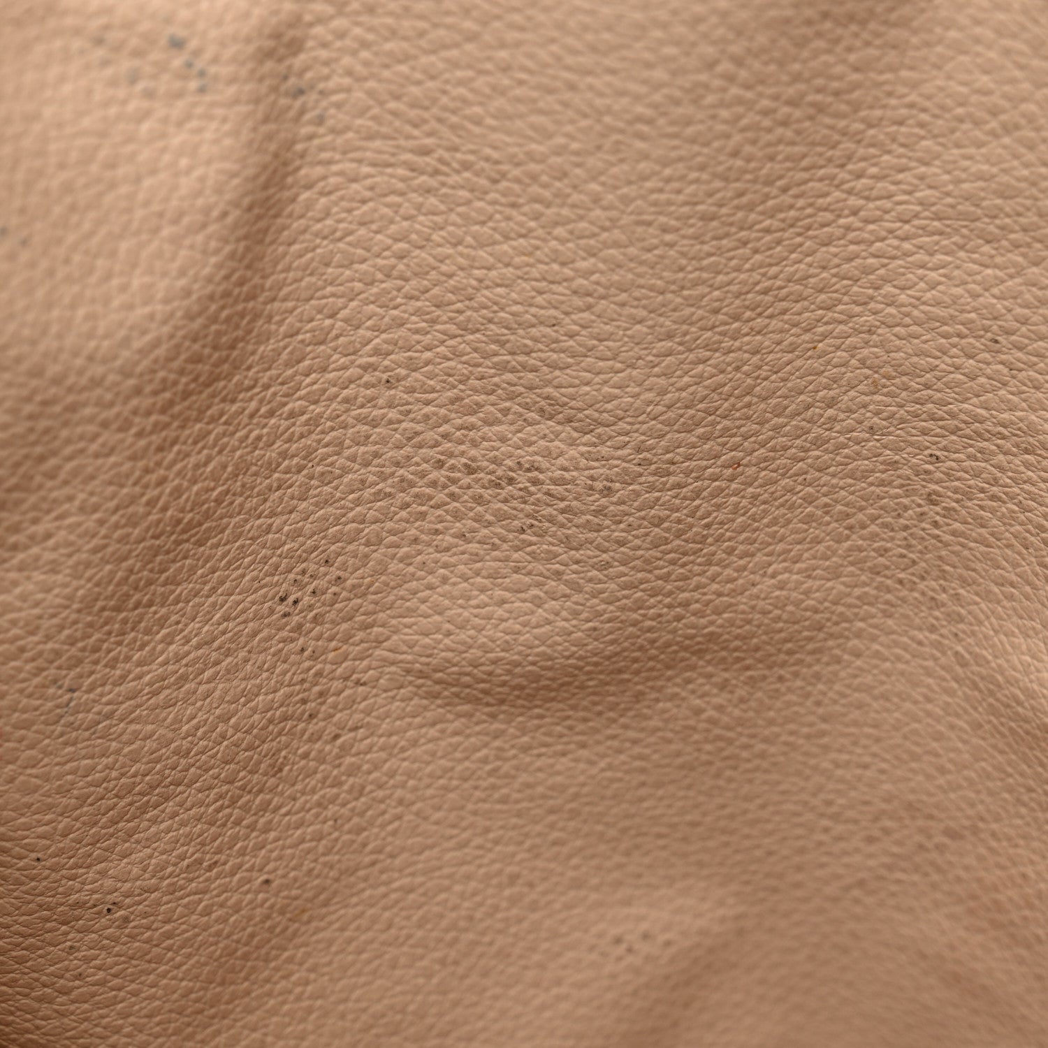 Louis Vuitton Monogram Sac Plat