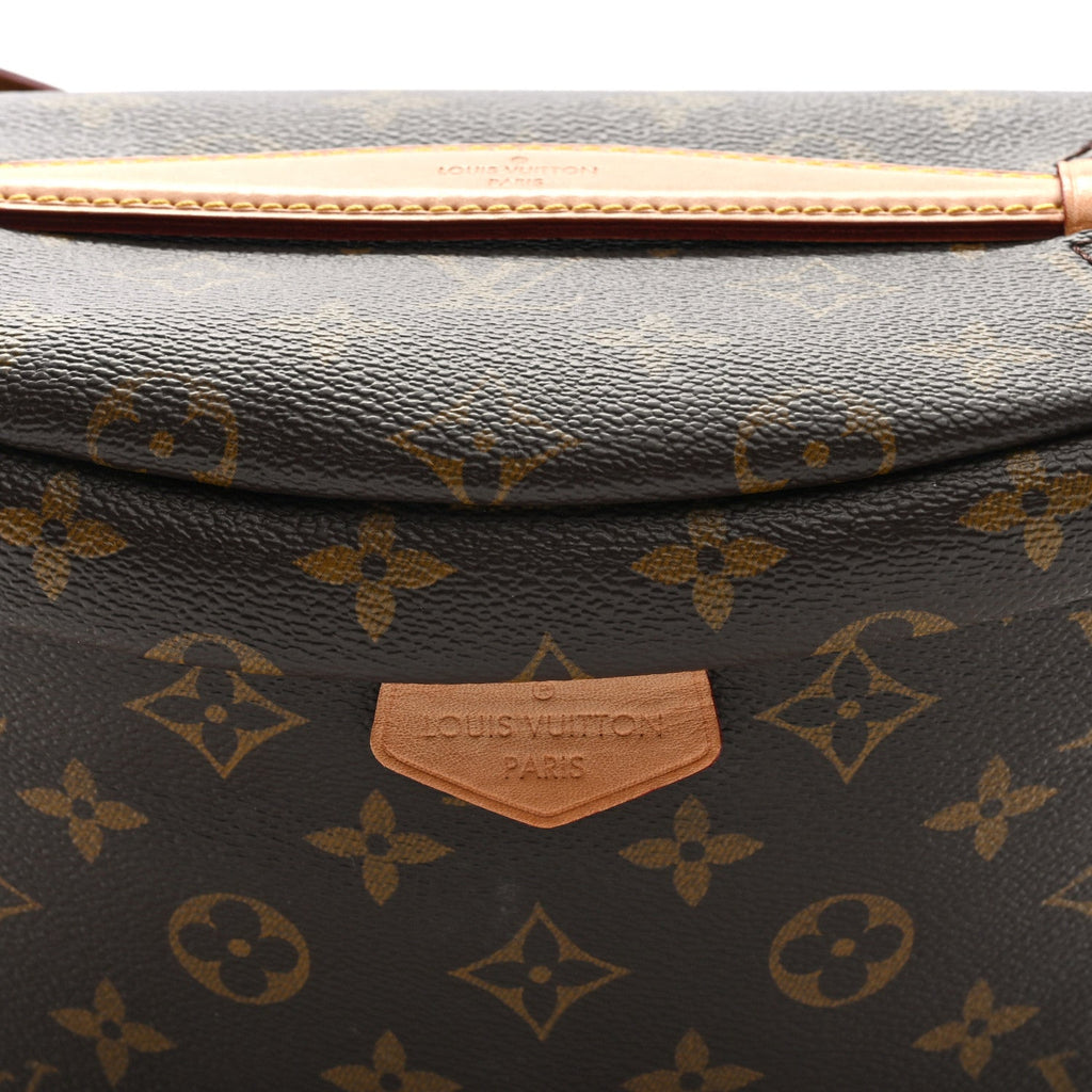 Louis Vuitton Monogram Bumbag