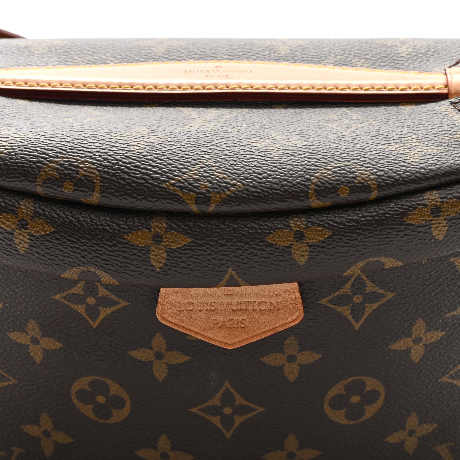 Louis Vuitton Monogram Bumbag