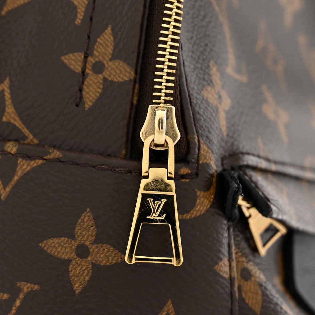 Louis Vuitton Monogram Palm Springs Backpack Mini