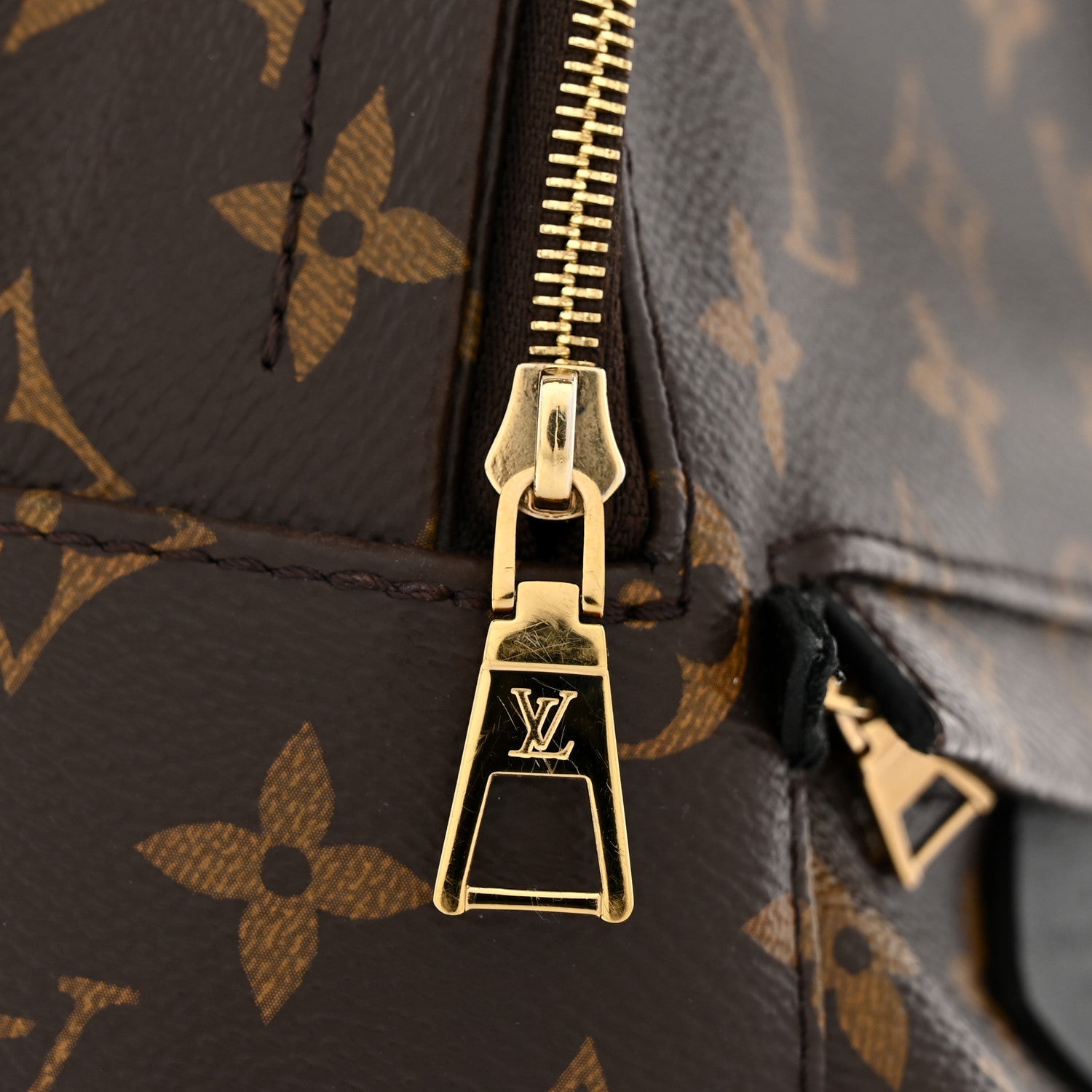 Louis Vuitton Monogram Palm Springs Backpack Mini
