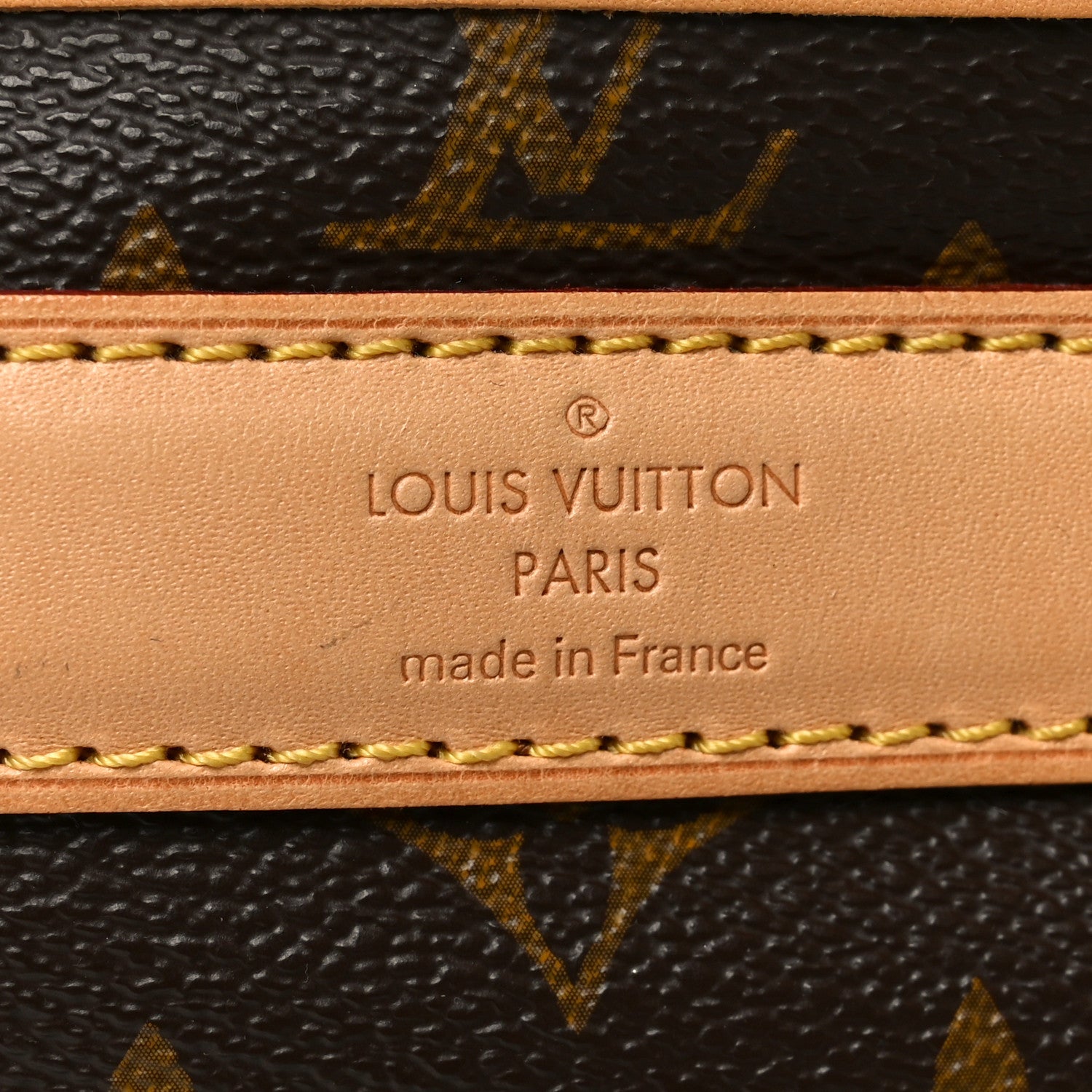 Louis Vuitton Monogram Dog Carrier 50