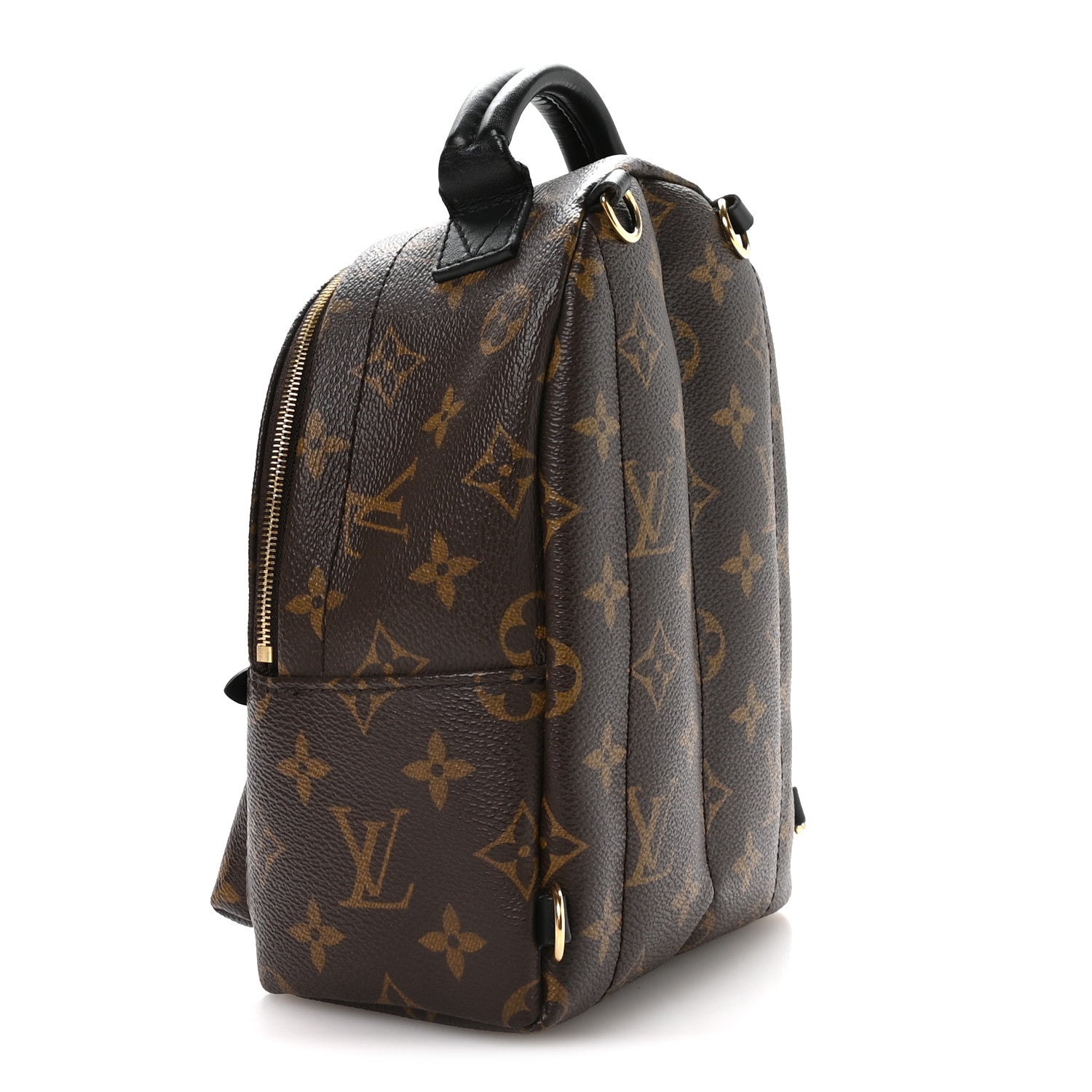 Louis Vuitton Monogram Palm Springs Backpack Mini