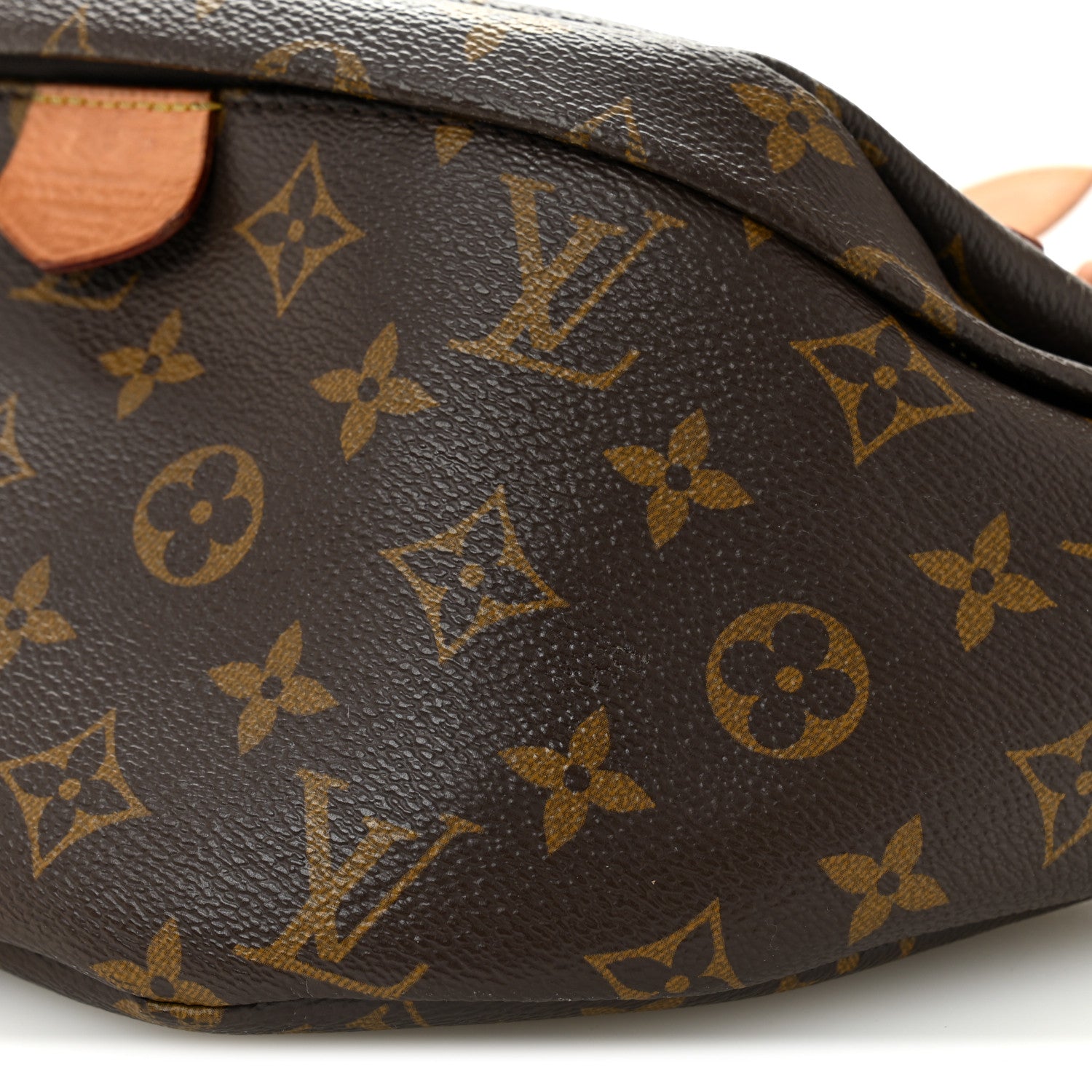 Louis Vuitton Monogram Bumbag