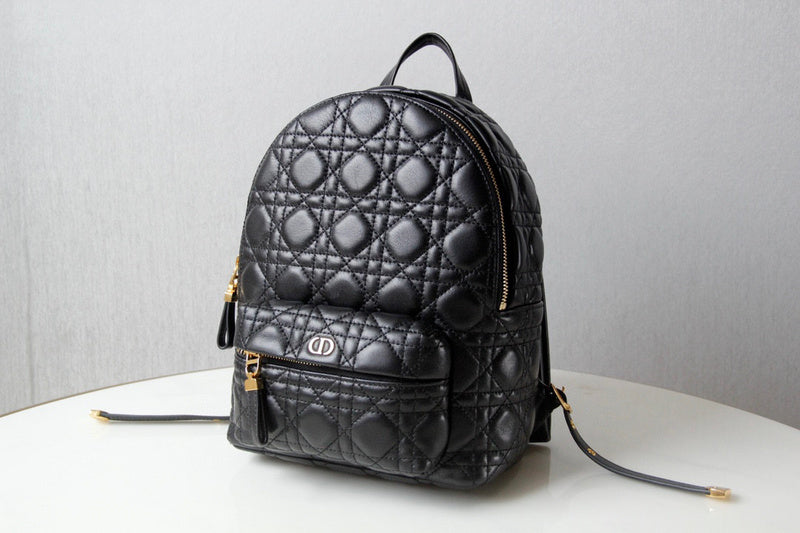 Dior Bags - 5046
