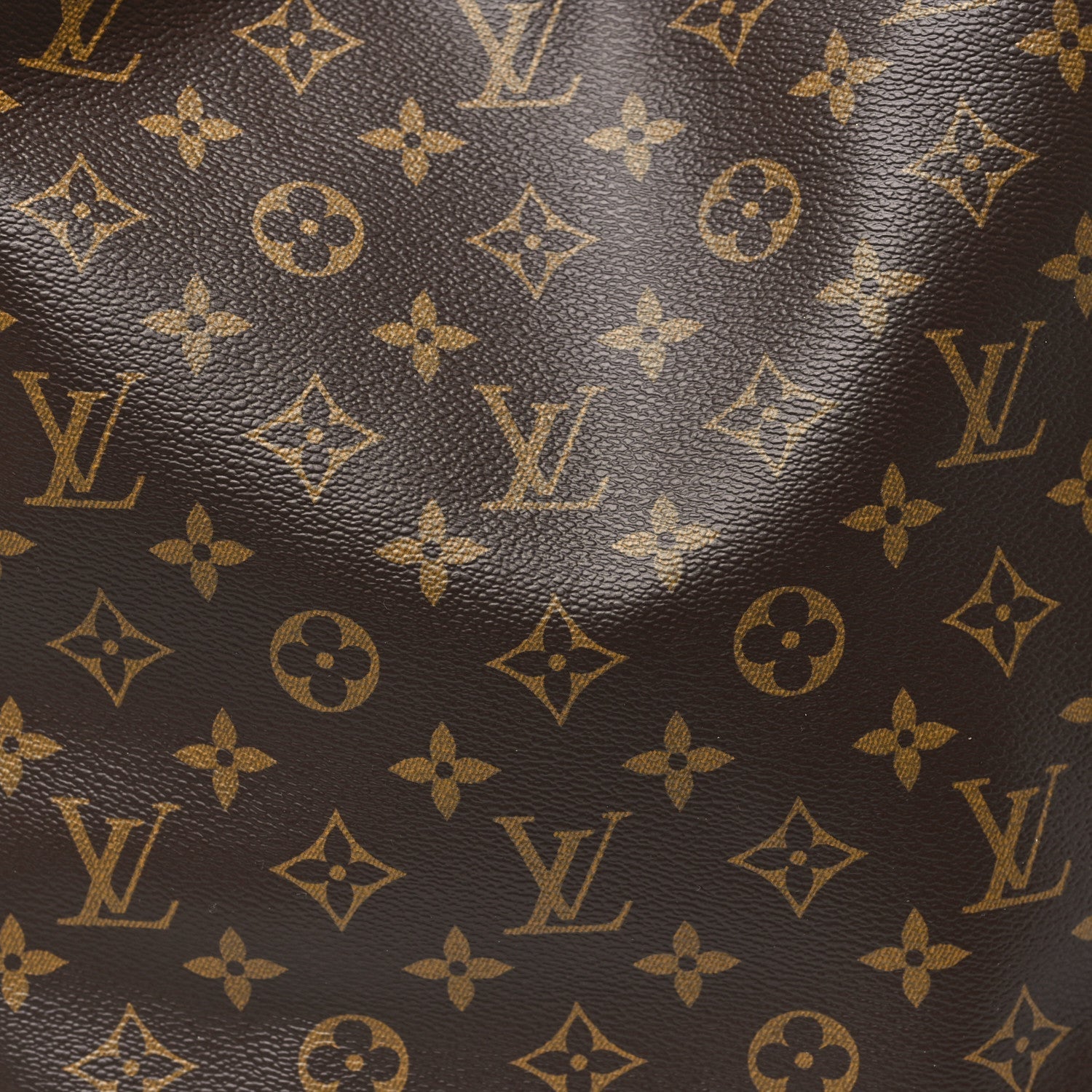 Louis Vuitton Monogram Delightful PM