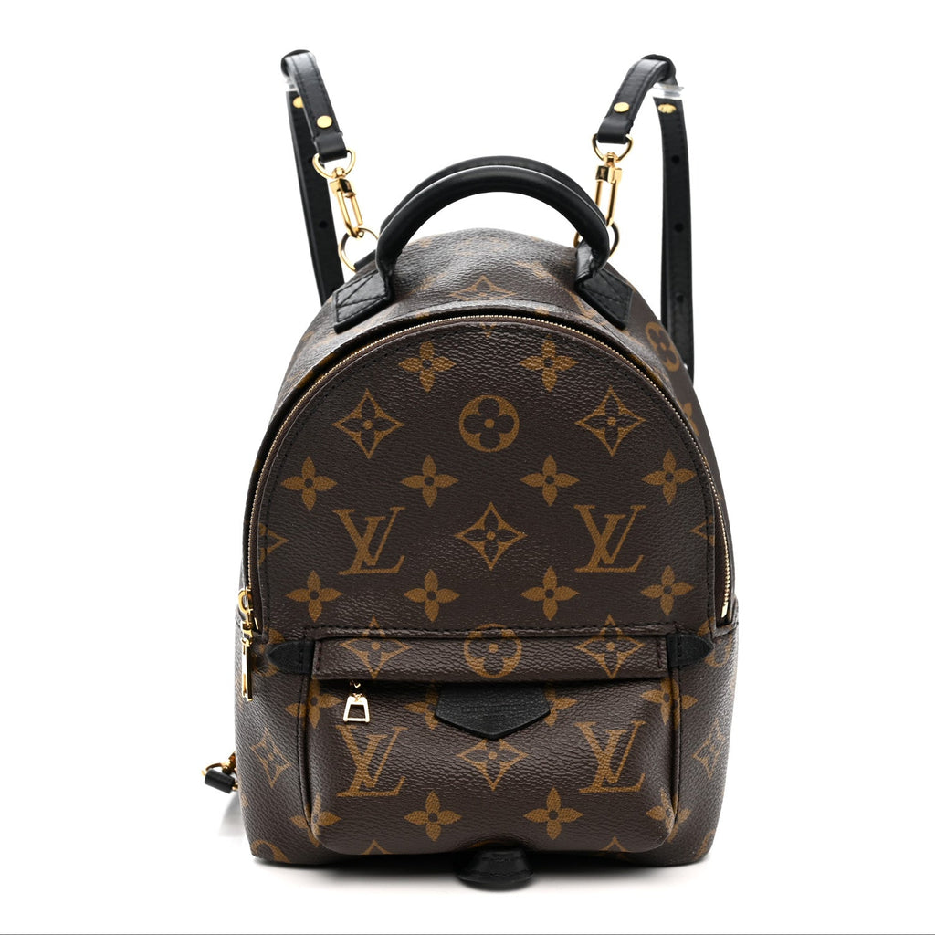 Louis Vuitton Monogram Palm Springs Backpack Mini