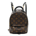 Louis Vuitton Monogram Palm Springs Backpack Mini
