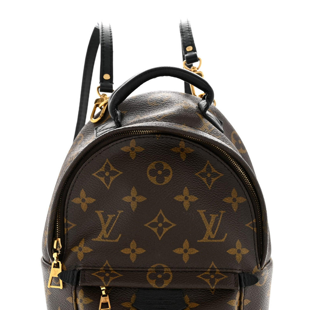 Louis Vuitton Monogram Palm Springs Backpack Mini