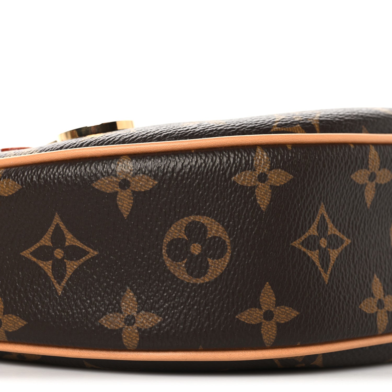 Louis Vuitton Monogram Loop