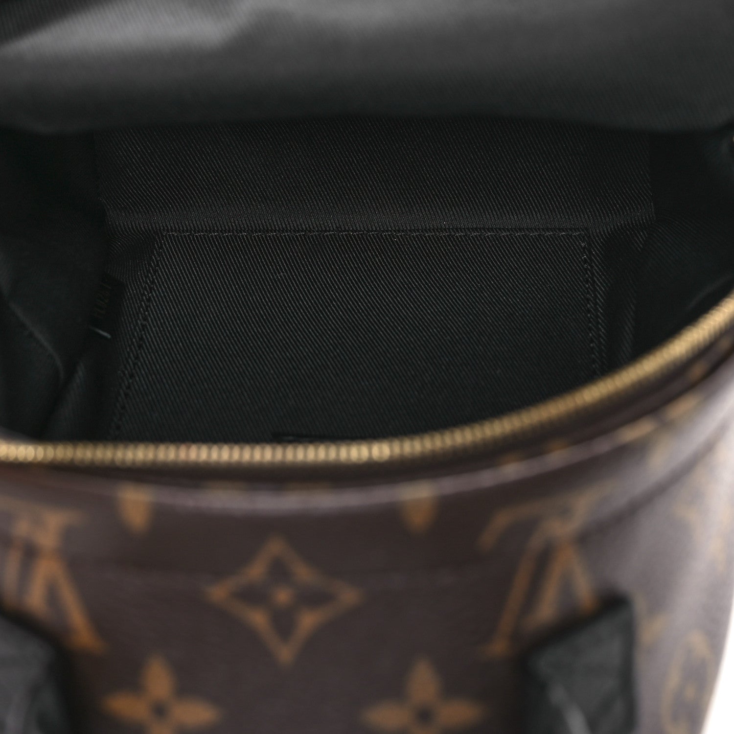 Louis Vuitton Monogram Palm Springs Backpack Mini