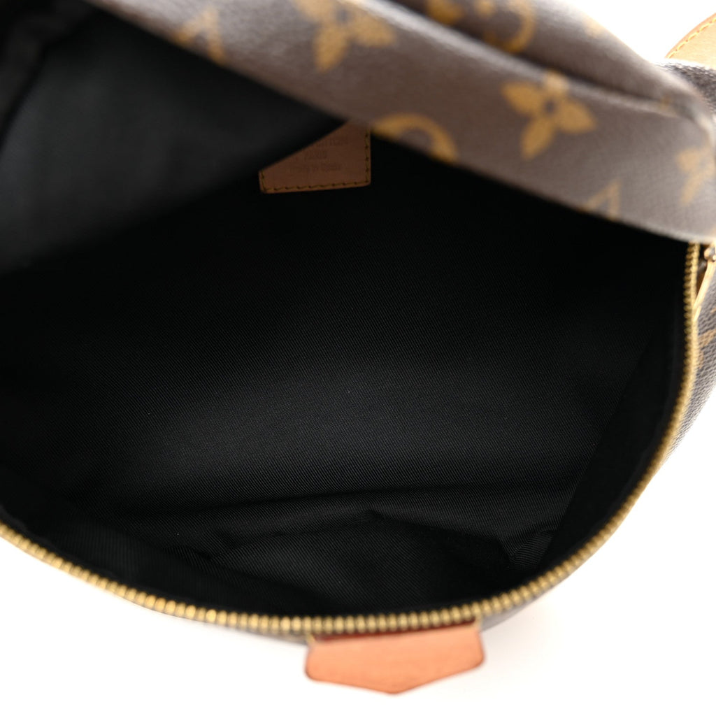 Louis Vuitton Monogram Bumbag