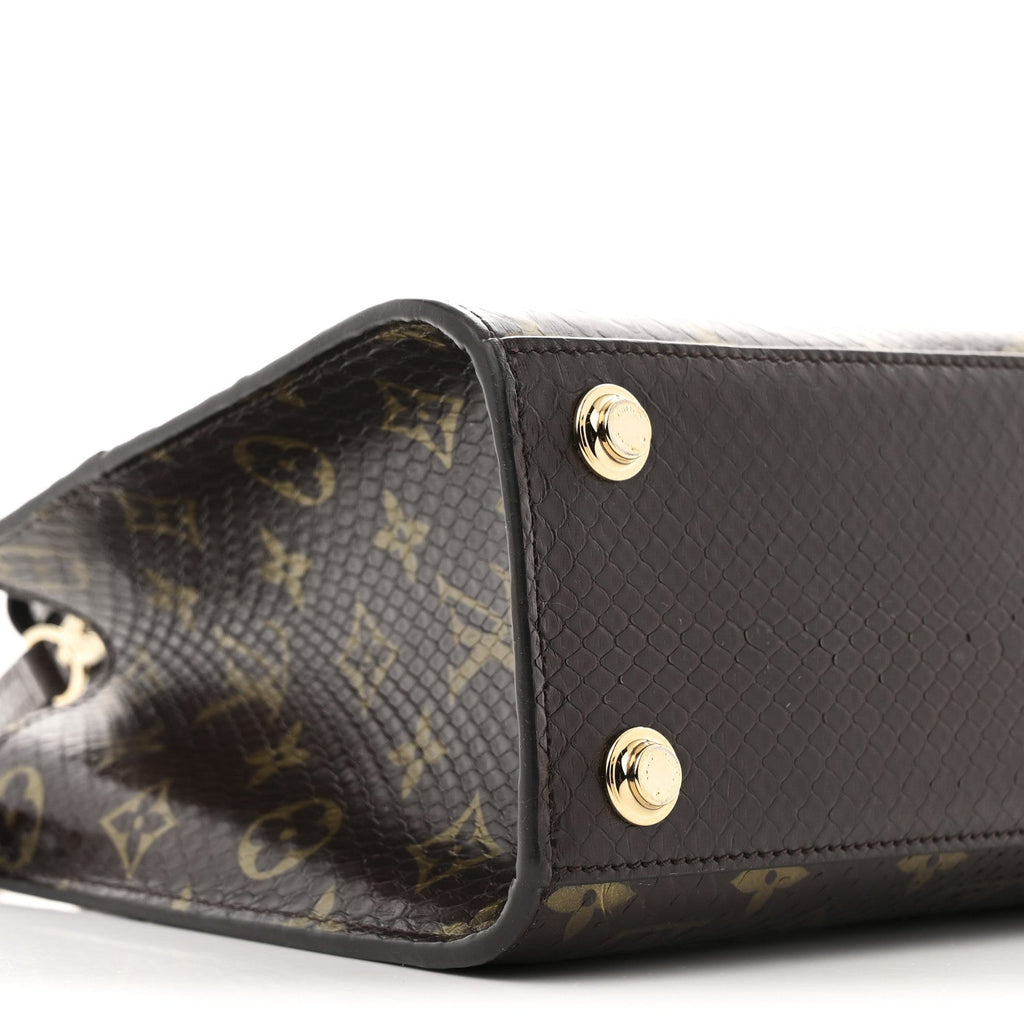 Louis Vuitton Snakeskin Monogram City Steamer Mini Brown